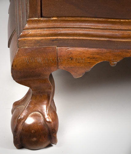 Chippendale Chest of Drawers, Reverse Serpentine, Ball & Claw Feet
Probably North Shore, Massachusetts
1760 to 1780
Birch and eastern white pine, mahoganized surface, foot detail